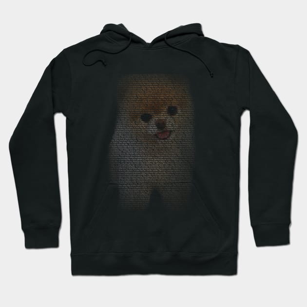 pomeranian boo text portrait Hoodie by test26